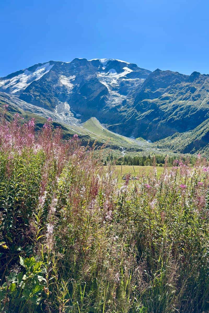 Alpine mountain and valley below clear blue sky.