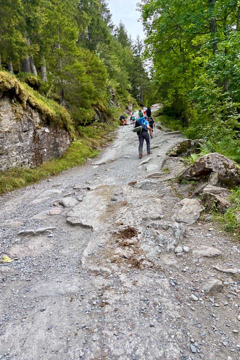 Hikers ascending gravel path up hillside.