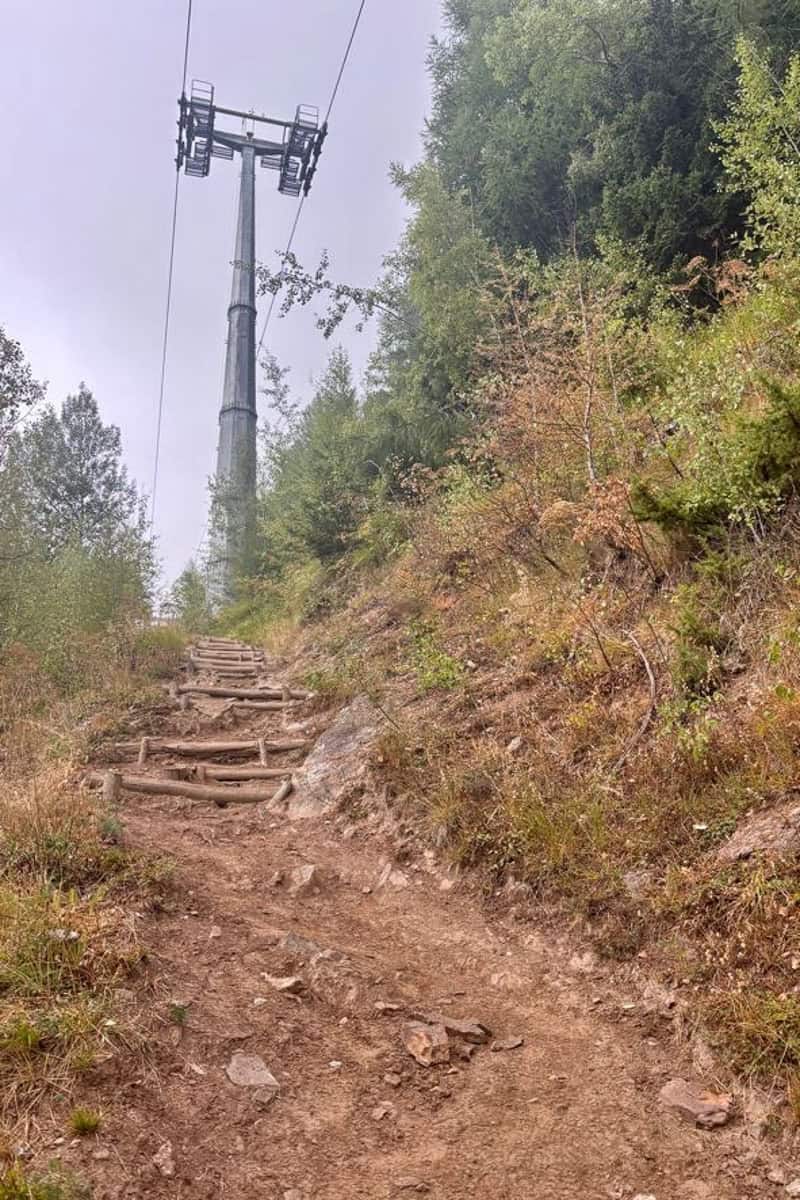 Chairlift visible above dirt trail.