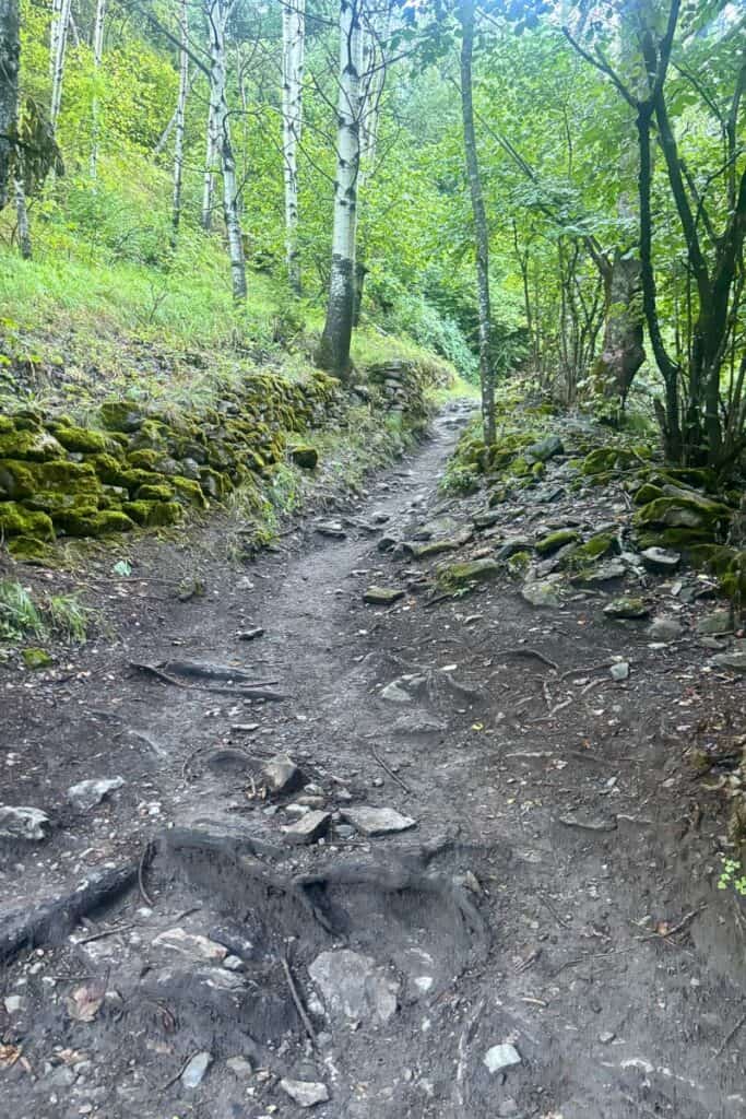 Narrow dirt trail through forested area on Stage 5 of the Tour du Mont Blanc.