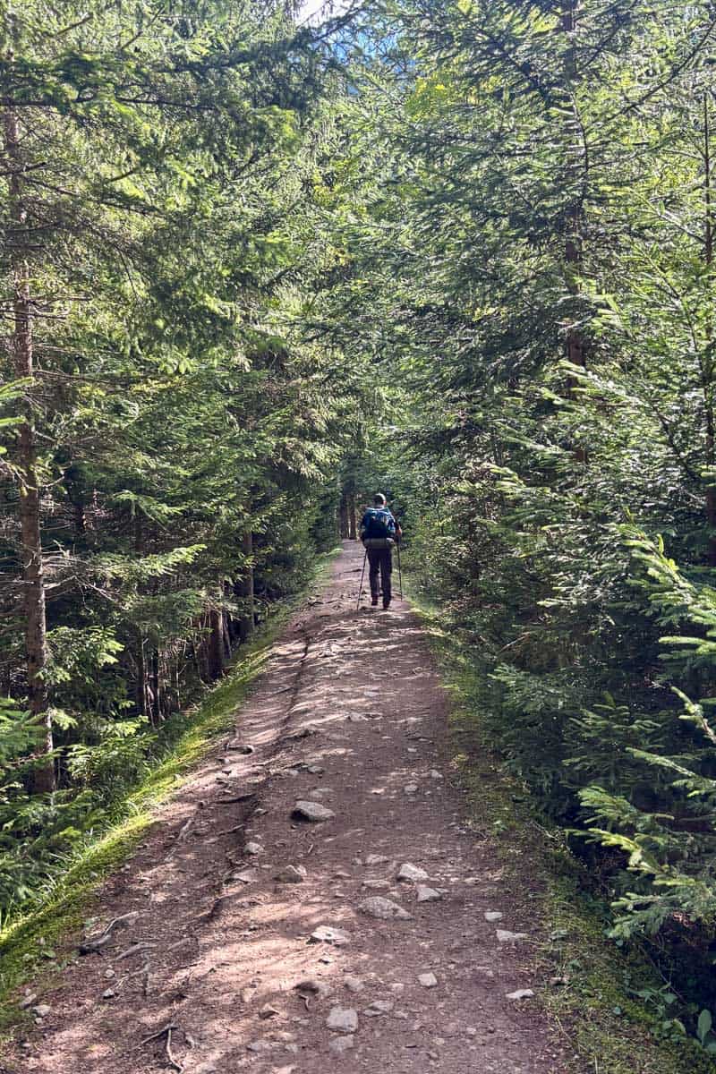 Dirt trail through heavily forested section of Stage 7 of the Tour du Mont Blanc.