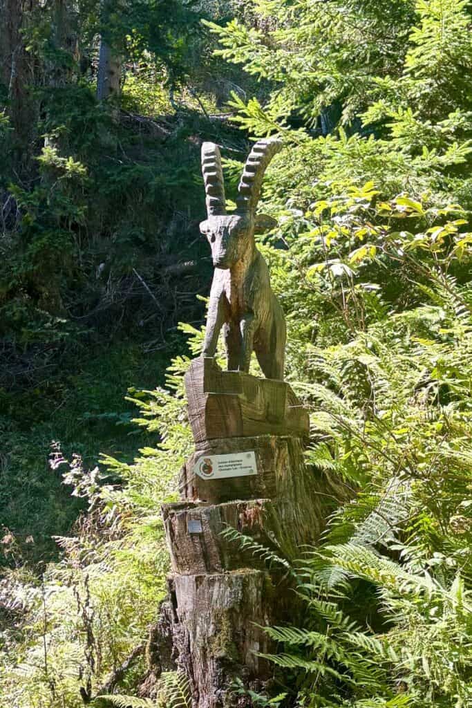 Wooden goat sculpture alongside trail.