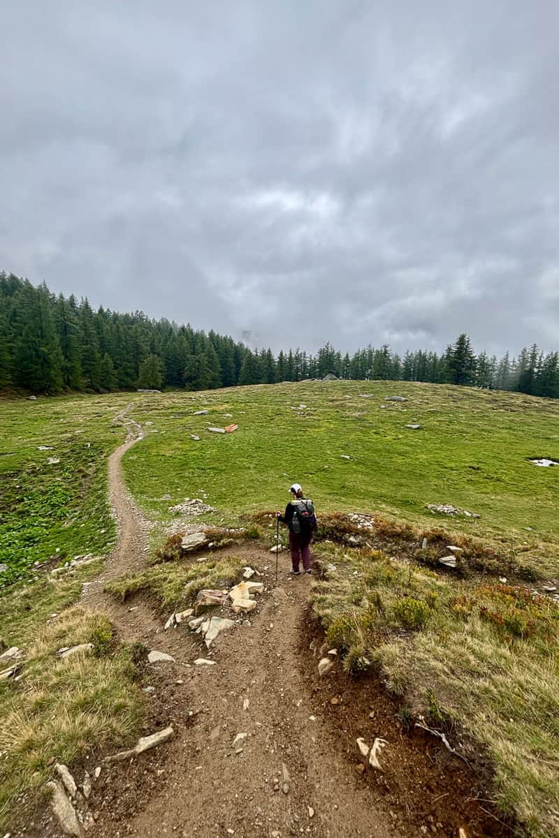 Backpacker using trekking pole to walk downhill on dirt trail.