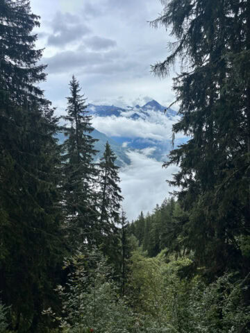 Cloud-covered mountain peaks visible through gap in forest on Stage 8 of the Tour du Mont Blanc.