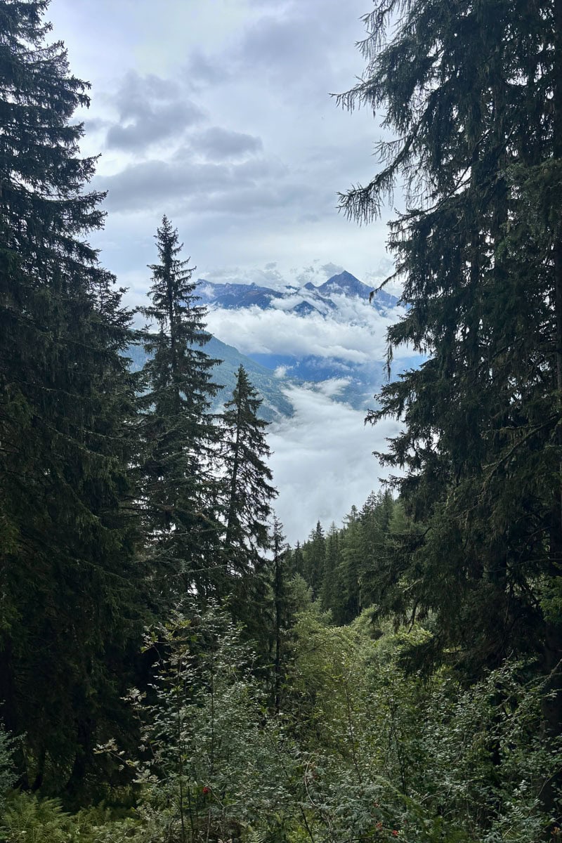 Cloud-covered mountain peaks visible through gap in forest on Stage 8 of the Tour du Mont Blanc.
