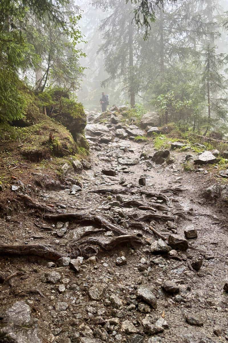 Rocky trail up hill in foggy mist.