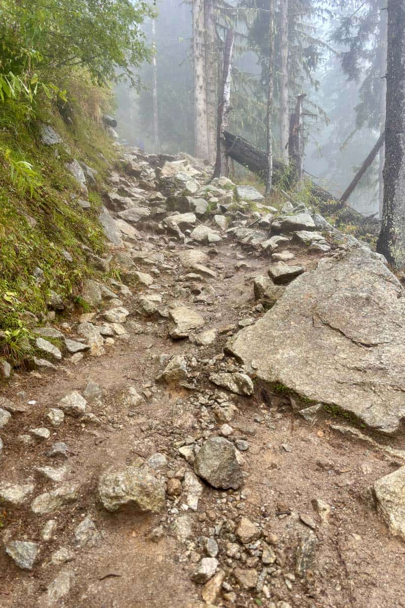 Fog above rocky trail going uphill.