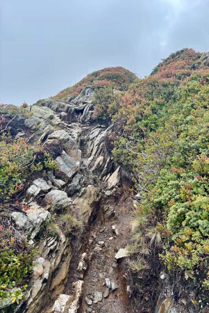 Slabs of rock along steep trail on Stage 9 of the Tour du Mont Blanc.