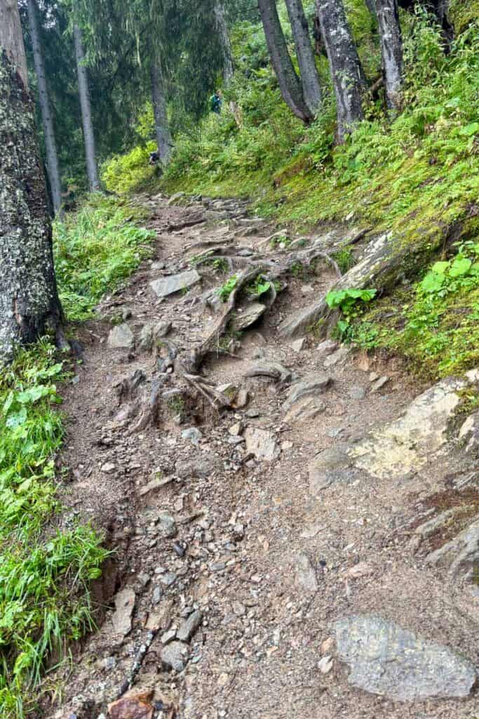 Rugged trail up forested hillside on Stage 9 of the Tour du Mont Blanc.