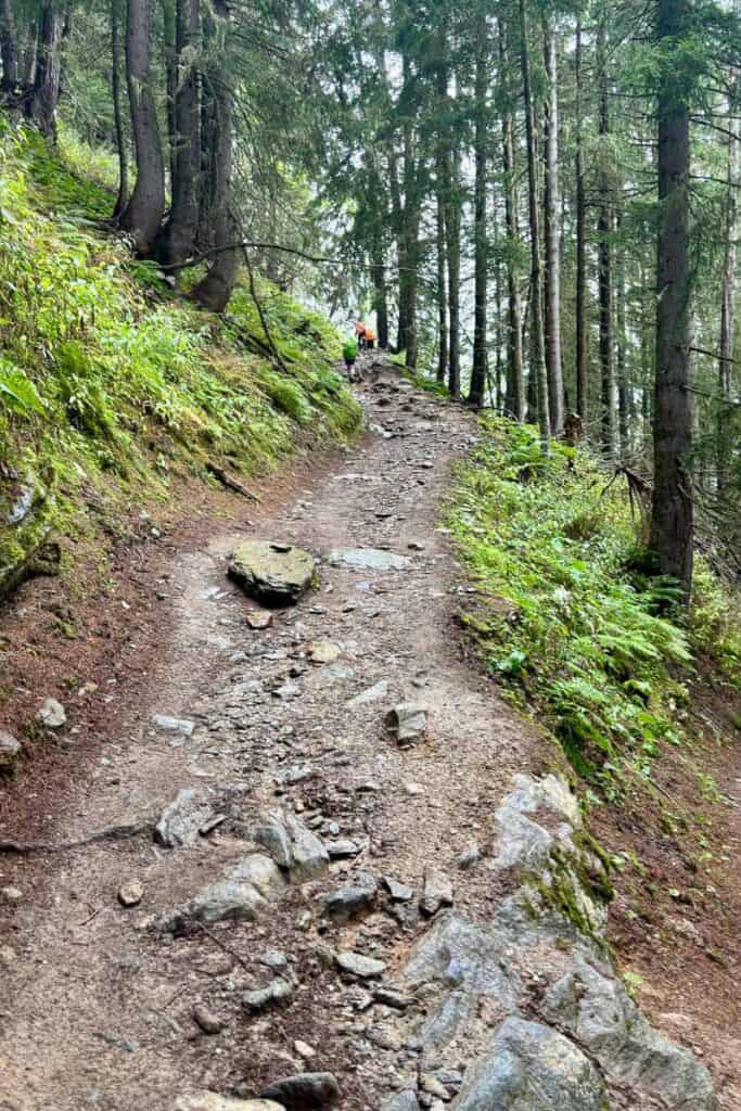Steep dirt trail through forest on Stage 9 of the Tour du Mont Blanc.
