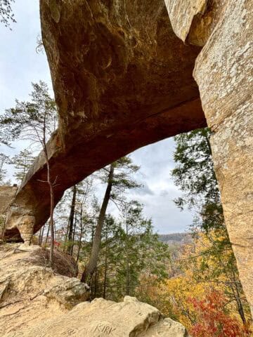 View of Sky Bridge in Red River Gorge from underneath.