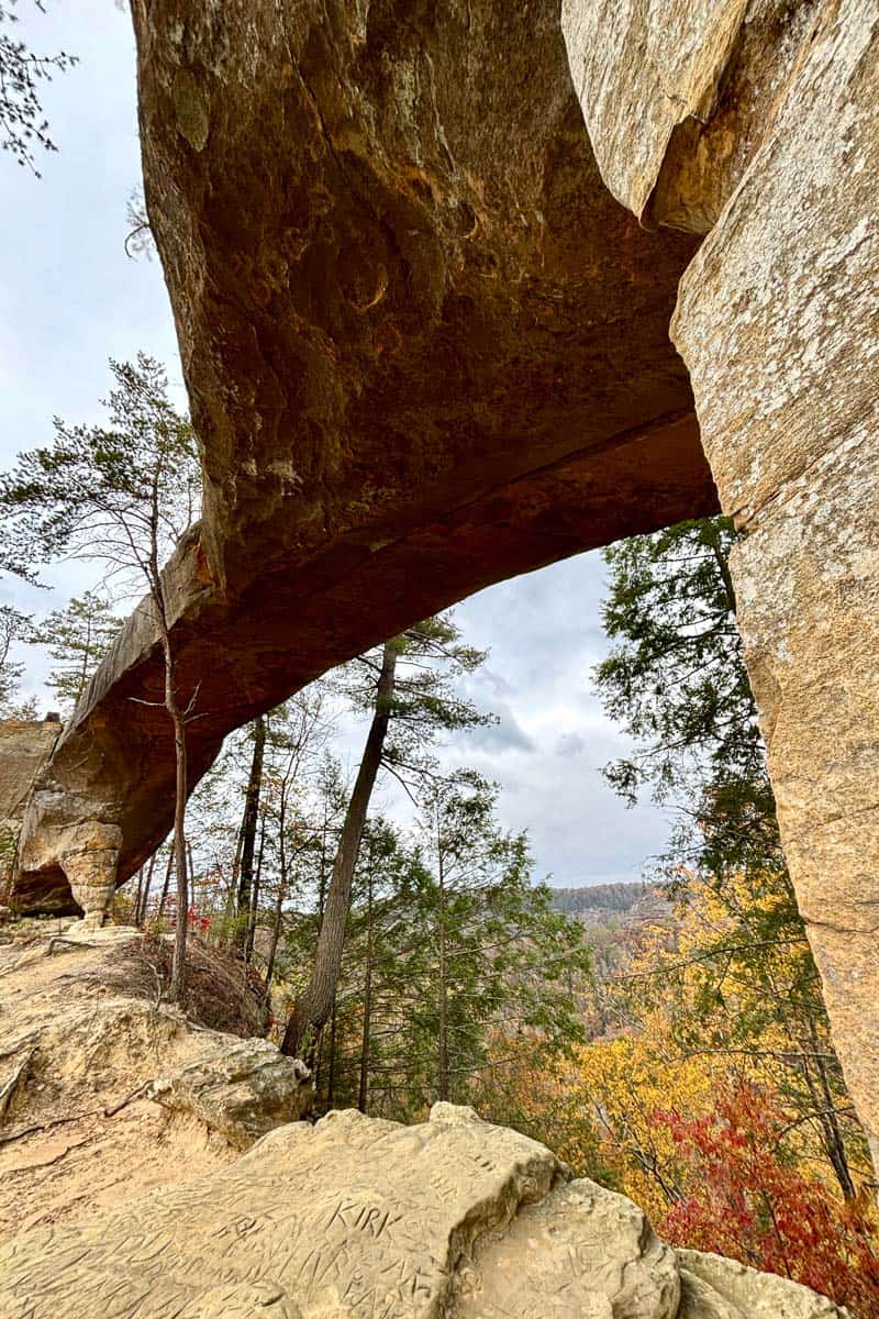 View of Sky Bridge in Red River Gorge from underneath.