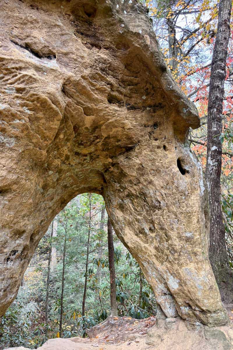 Angel Windows arch that looks like a horsehead.