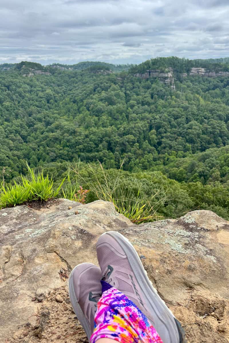 View of forested gorge with hiker's feet clad in Altra Lone Peak trail runners in the foreground.