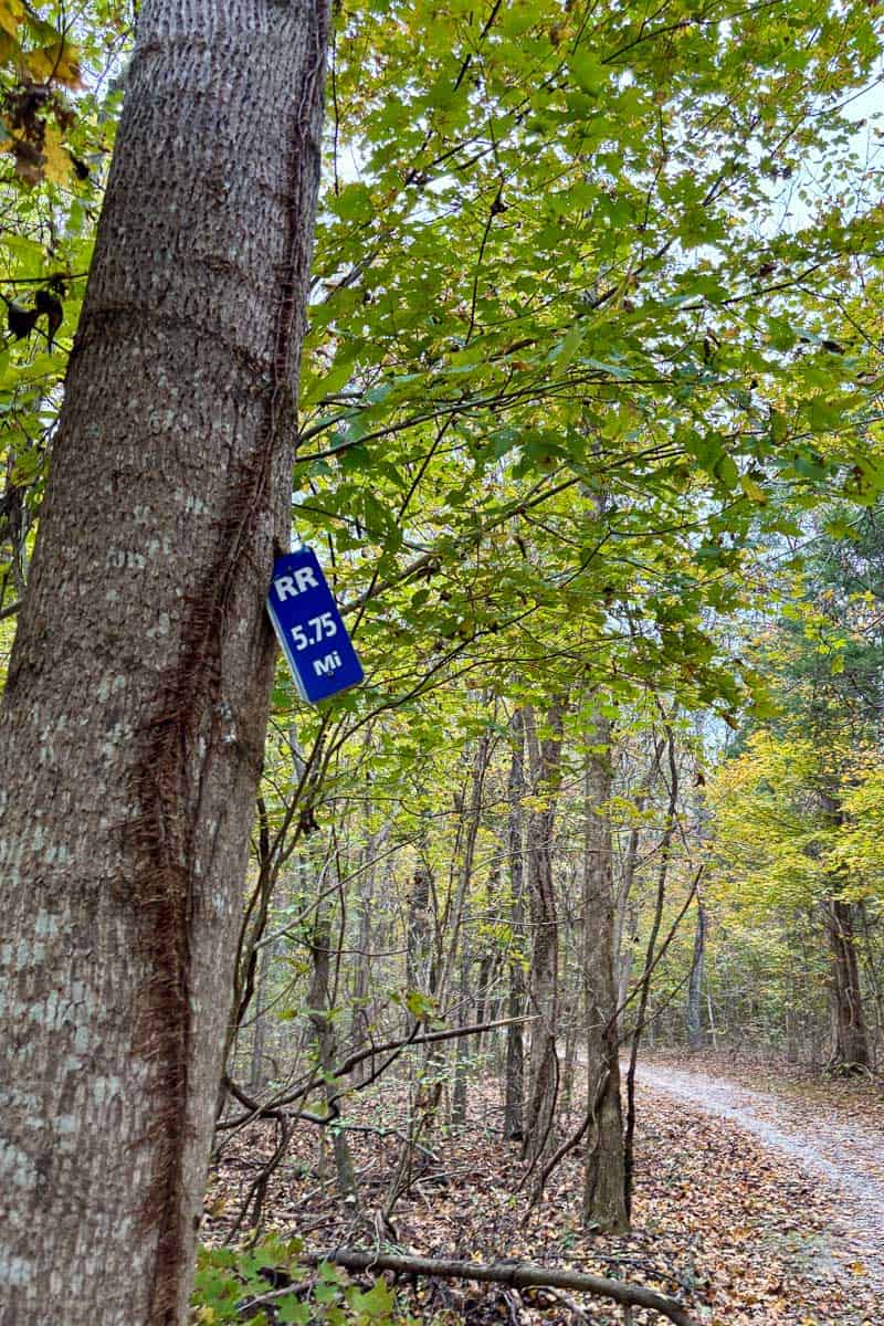 Trail marker attached to tree for Mammoth Cave Rail Trail.