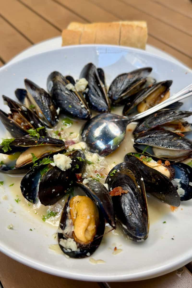 Bowl of Blue Cheese Beer Pancetta mussels.