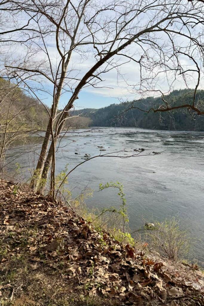 View of New River from edge of trail.
