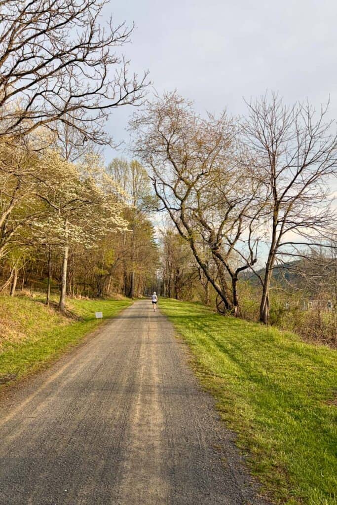 Flat gravel tree-lined path.