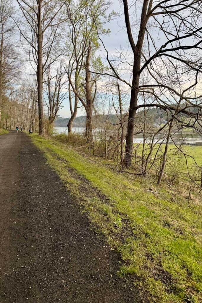 Flat gravel path with view of river through the trees.