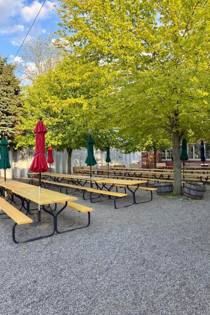 Multiple rows of picnic tables in tree-shaded courtyard.