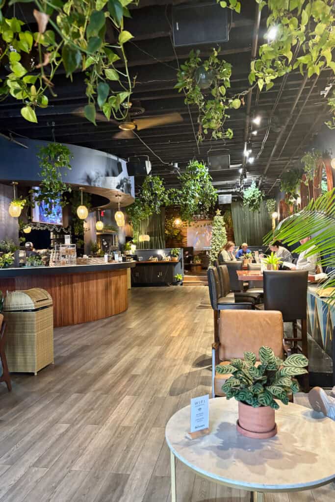 Interior of The Greenery Coffee Shop with multiple plants as decor.