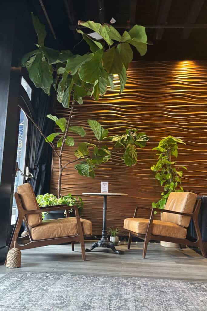Two armchairs, a small pedestal table, and a tall house plant in a corner of The Greenery Coffee Shop.