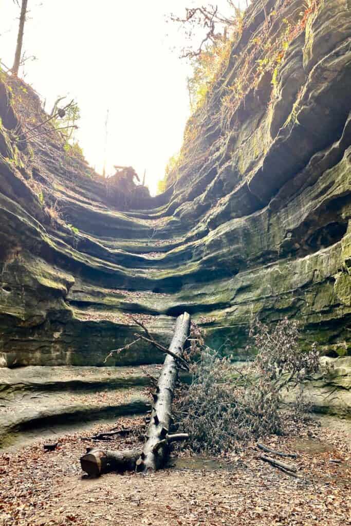 Gorge with rock eroded in channels in Starved Rock State Park.