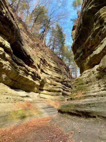 Narrow gorge with rock eroded in channels in Starved Rock State Park.