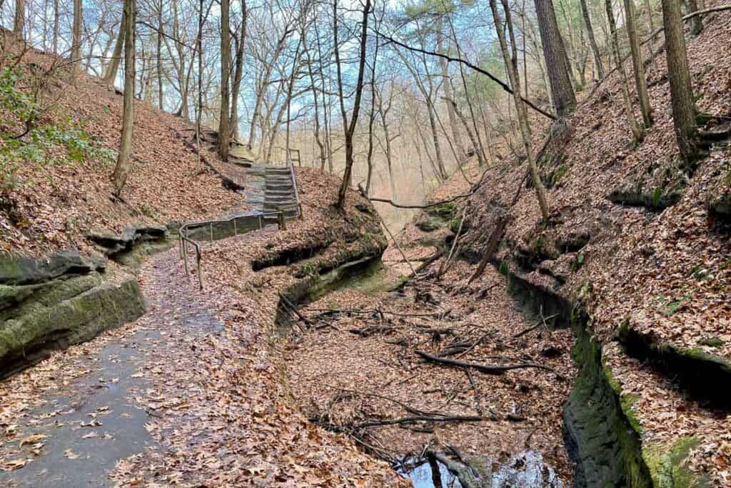 Leaf-strewn creek bed with trail, handrail and steps alongside.